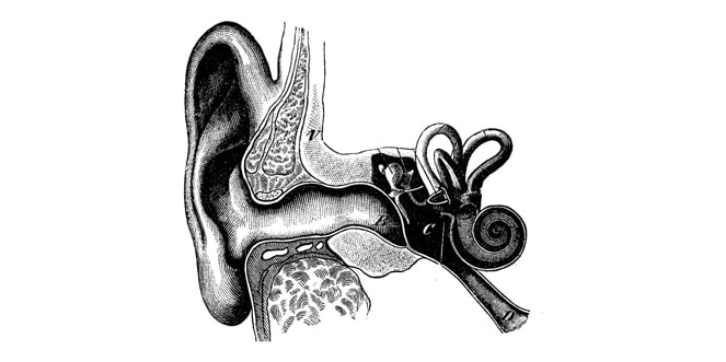 free-hearing-test-hear-me-hamilton-auckland-2